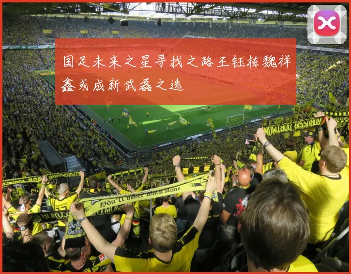 国足未来之星寻找之路王钰栋魏祥鑫或成新武磊之选